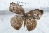  ( - SCBP1802)  @13 [ ] Unspecified (default): All Rights Reserved (2015) Unspecified Unspecified