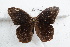  ( - SCBP1878)  @13 [ ] Unspecified (default): All Rights Reserved (2015) Unspecified Unspecified