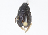  ( - CBG-A00297-C10)  @11 [ ] CreativeCommons - Attribution Share - Alike (2023) CBG Photography Group Centre for Biodiversity Genomics