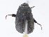  ( - CBG-A00297-E11)  @11 [ ] CreativeCommons - Attribution Share - Alike (2023) CBG Photography Group Centre for Biodiversity Genomics