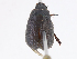  ( - CBG-A00297-F04)  @11 [ ] CreativeCommons - Attribution Share - Alike (2023) CBG Photography Group Centre for Biodiversity Genomics