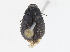  ( - CBG-A08775-C03)  @11 [ ] CreativeCommons - Attribution Share - Alike (2023) CBG Photography Group Centre for Biodiversity Genomics