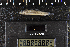  ( - 8005825)  @11 [ ] CreativeCommons  Attribution Share-Alike (2019) Unspecified Zoological Research Museum Alexander Koenig