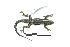  ( - JEGE 320)  @11 [ ] Copyright (2015) Norma L. Manríquez-Morán CIB-UAEH