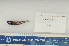  (Myctophum affine - 08-009)  @13 [ ] Unspecified (default): All Rights Reserved  Unspecified Unspecified