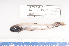  ( - 08-099)  @13 [ ] Unspecified (default): All Rights Reserved  Unspecified Unspecified