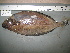  ( - 09-375)  @13 [ ] Unspecified (default): All Rights Reserved  Unspecified Unspecified
