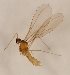  ( - DIPT-JS-2016-0573)  @11 [ ] CreativeCommons - Attribution Non-Commercial (2016) Marko Mutanen University of Oulu