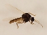  ( - DIPT-JS-2016-0590)  @13 [ ] CreativeCommons - Attribution Non-Commercial (2016) Marko Mutanen University of Oulu