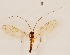  ( - DIPT-JS-2016-0674)  @11 [ ] CreativeCommons - Attribution Non-Commercial (2016) Marko Mutanen University of Oulu