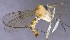  ( - GAS.2953)  @11 [ ] by-nc (2021) Unspecified Regional Museum of Lapland, Rovaniemi
