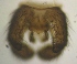  ( - JS-COI-2016-0046)  @12 [ ] CreativeCommons - Attribution Non-Commercial (2016) Marko Mutanen University of Oulu