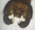 ( - JS-COI-2016-0082)  @11 [ ] CreativeCommons - Attribution Non-Commercial (2016) Marko Mutanen University of Oulu