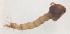  ( - JS-COI-2016-0147)  @11 [ ] CreativeCommons - Attribution Non-Commercial (2016) Marko Mutanen University of Oulu