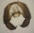  ( - JS-COI-2016-0167)  @11 [ ] CreativeCommons - Attribution Non-Commercial (2016) Marko Mutanen University of Oulu