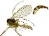  ( - NVO.LMM-Myc-1842)  @11 [ ] by-nc (2021) Unspecified Regional Museum of Lapland, Rovaniemi