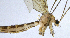  ( - NVO.LMM-Myc-2174)  @11 [ ] by-nc (2021) Unspecified Regional Museum of Lapland, Rovaniemi
