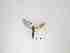  ( - LW-QMT405-2)  @11 [ ] CreativeCommonsAttribution Non-Commercial (2018) Unspecified Zhejiang A&F University