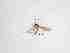  ( - LW-QMT410-2)  @11 [ ] CreativeCommonsAttribution Non-Commercial (2018) Unspecified Zhejiang A&F University