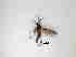  ( - LW-QMT411-2)  @11 [ ] CreativeCommonsAttribution Non-Commercial (2018) Unspecified Zhejiang A&F University