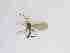  ( - LW-QMT451-2)  @11 [ ] CreativeCommonsAttribution Non-Commercial (2018) Unspecified Zhejiang A&F University