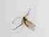  ( - LW-QMT479-2)  @11 [ ] CreativeCommonsAttribution Non-Commercial (2018) Unspecified Zhejiang A&F University