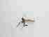  ( - LW-QMT506-2)  @11 [ ] CreativeCommonsAttribution Non-Commercial (2018) Unspecified Zhejiang A&F University