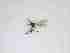  ( - LW-QMT527-2)  @11 [ ] CreativeCommonsAttribution Non-Commercial (2018) Unspecified Zhejiang A&F University