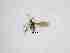  ( - LW-QMT532-2)  @11 [ ] CreativeCommonsAttribution Non-Commercial (2018) Unspecified Zhejiang A&F University