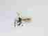  ( - LW-QMT583-2)  @11 [ ] CreativeCommonsAttribution Non-Commercial (2018) Unspecified Zhejiang A&F University