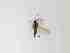  ( - LW-XG101-2)  @11 [ ] CreativeCommonsAttribution Non-Commercial (2018) Unspecified Zhejiang A&F University