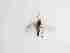  ( - LW-XG102-2)  @11 [ ] CreativeCommonsAttribution Non-Commercial (2018) Unspecified Zhejiang A&F University