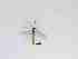  ( - LW-XG144-2)  @11 [ ] CreativeCommonsAttribution Non-Commercial (2018) Unspecified Zhejiang A&F University
