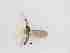  ( - LW-XG445-2)  @11 [ ] CreativeCommonsAttribution Non-Commercial (2018) Unspecified Zhejiang A&F University