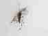  ( - LW-XG521-2)  @11 [ ] CreativeCommonsAttribution Non-Commercial (2018) Unspecified Zhejiang A&F University