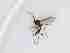  ( - LW-XG550-2)  @11 [ ] CreativeCommonsAttribution Non-Commercial (2018) Unspecified Zhejiang A&F University
