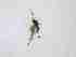  ( - LW-XG576-2)  @11 [ ] CreativeCommonsAttribution Non-Commercial (2018) Unspecified Zhejiang A&F University