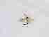  ( - LW-XG585-2)  @11 [ ] CreativeCommonsAttribution Non-Commercial (2018) Unspecified Zhejiang A&F University
