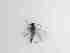  ( - LW-XG591-2)  @11 [ ] CreativeCommonsAttribution Non-Commercial (2018) Unspecified Zhejiang A&F University