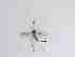  ( - LW-XG593-2)  @11 [ ] CreativeCommonsAttribution Non-Commercial (2018) Unspecified Zhejiang A&F University