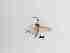  ( - LW-XG594-2)  @11 [ ] CreativeCommonsAttribution Non-Commercial (2018) Unspecified Zhejiang A&F University