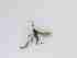  ( - LW-XG627-2)  @11 [ ] CreativeCommonsAttribution Non-Commercial (2018) Unspecified Zhejiang A&F University
