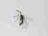  ( - LW-XG98-2)  @11 [ ] CreativeCommonsAttribution Non-Commercial (2018) Unspecified Zhejiang A&F University