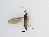  ( - LW-F56)  @11 [ ] CreativeCommons  Attribution
Non-Commercial Share-Alike (2019) Unspecified Zhejiang A&F University