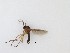  ( - LW-QMT124)  @11 [ ] CreativeCommons  Attribution
Non-Commercial Share-Alike (2019) Unspecified Zhejiang A&F University