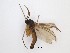  ( - LW-QMT180)  @11 [ ] CreativeCommons  Attribution
Non-Commercial Share-Alike (2019) Unspecified Zhejiang A&F University