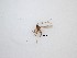  ( - LW-QMT200)  @11 [ ] CreativeCommons  Attribution
Non-Commercial Share-Alike (2019) Unspecified Zhejiang A&F University