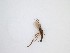  ( - LW-QMT218)  @11 [ ] CreativeCommons  Attribution
Non-Commercial Share-Alike (2019) Unspecified Zhejiang A&F University