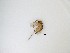  ( - LW-QMT227)  @11 [ ] CreativeCommons  Attribution
Non-Commercial Share-Alike (2019) Unspecified Zhejiang A&F University