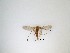  ( - LW-QMT229)  @11 [ ] CreativeCommons  Attribution
Non-Commercial Share-Alike (2019) Unspecified Zhejiang A&F University